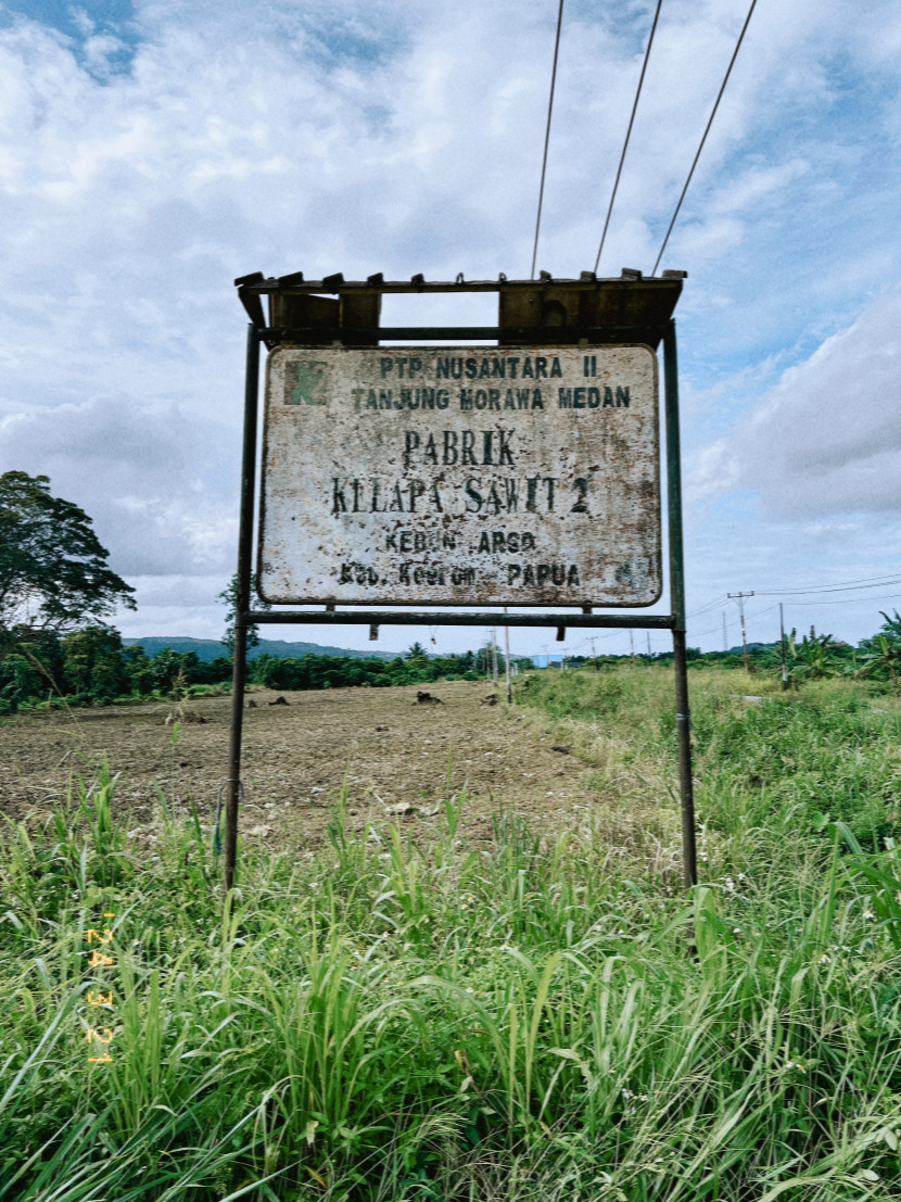 Salah satu kawasan perkebunan sawit di bumi Papua. (Foto: Ist)