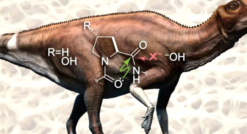 Graphical abstract/ACS Central Science (2024).