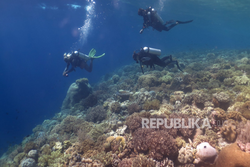 How deep is the ocean? Sumber:Republika