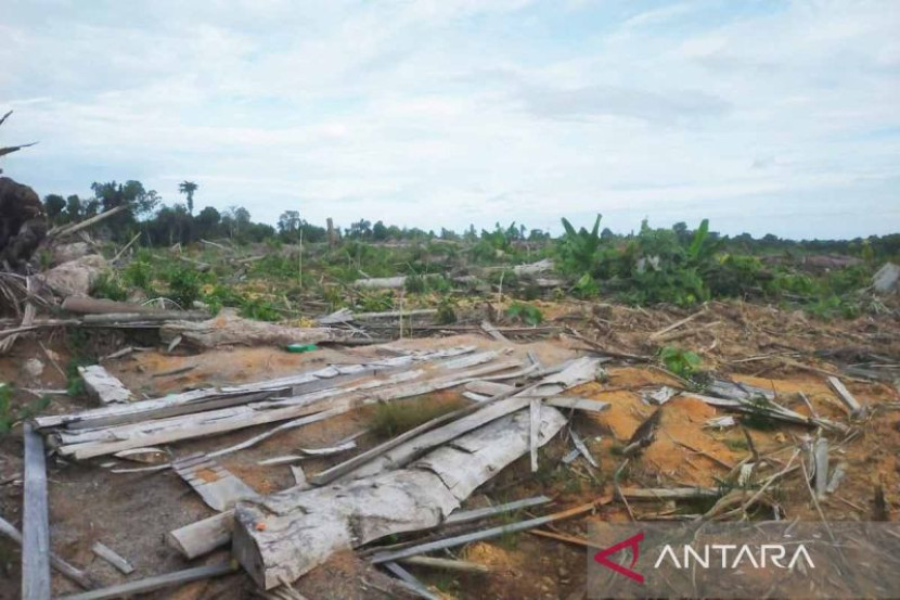 Kawasan hutan dirusak dan dialihfungsikan untuk perkebunan sawit di Simeulue, Aceh, Senin (5/8/2024). (Foto: Antara)