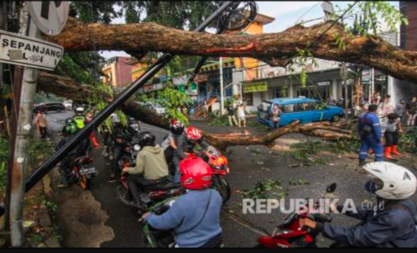 Rumah rusak tertimpa pohon akibat angin puting beliung di Kota Depok. (Foto: Dok Republika)