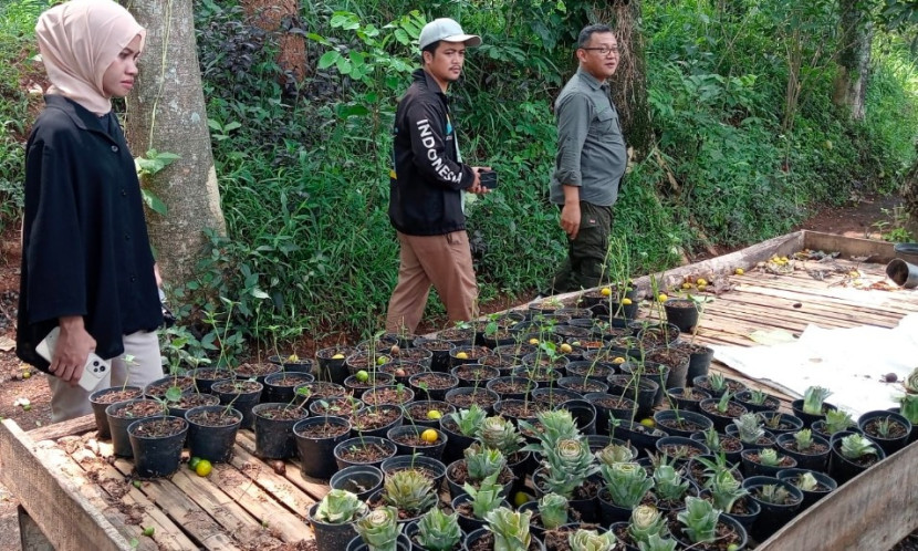 Urban Farming Festival, Rayakan Panen dan Kemandirian Pangan