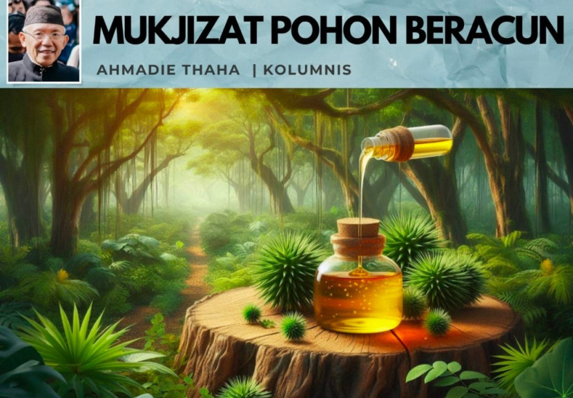 Foto ilustrasi Catatan Cak AT: Mukjizat Pohon Paling Beracun. (Foto: Dok Ruzka)