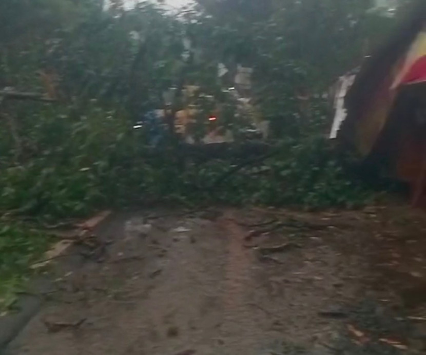 Pohon tumbang melintang di Jalan Raya Sawangan (depan BDN). Akibatnya terjadi kemacetan lalulintas di kedua arah. (Foto: Dok Ruzka)