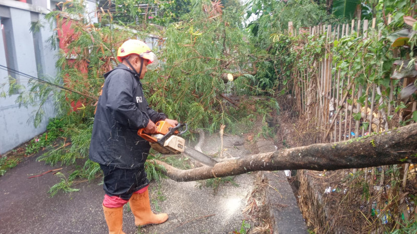 Petugas BPBD Kota Sukabumi melakukan penanganan bencana, Selasa (12/11/2024).