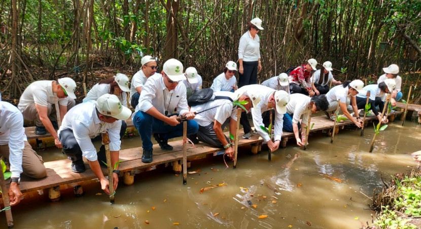 Menjaga alam untuk generasi mendatang,  penanaman 1.000 mangrove oleh VIVERE Group. (Foto: Dok VIVERE Group)