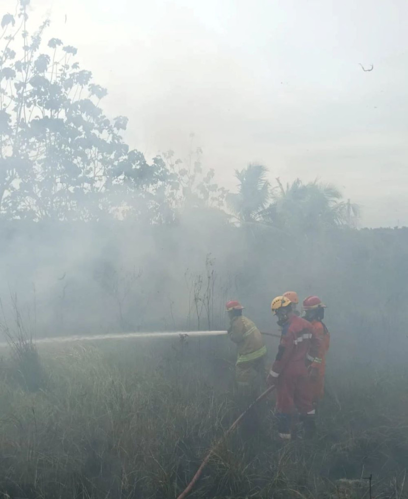 Pemadaman Karhutla di Kecamatan Cibeber, Cilegon. Foto: Diskominfo Kota Cilegon