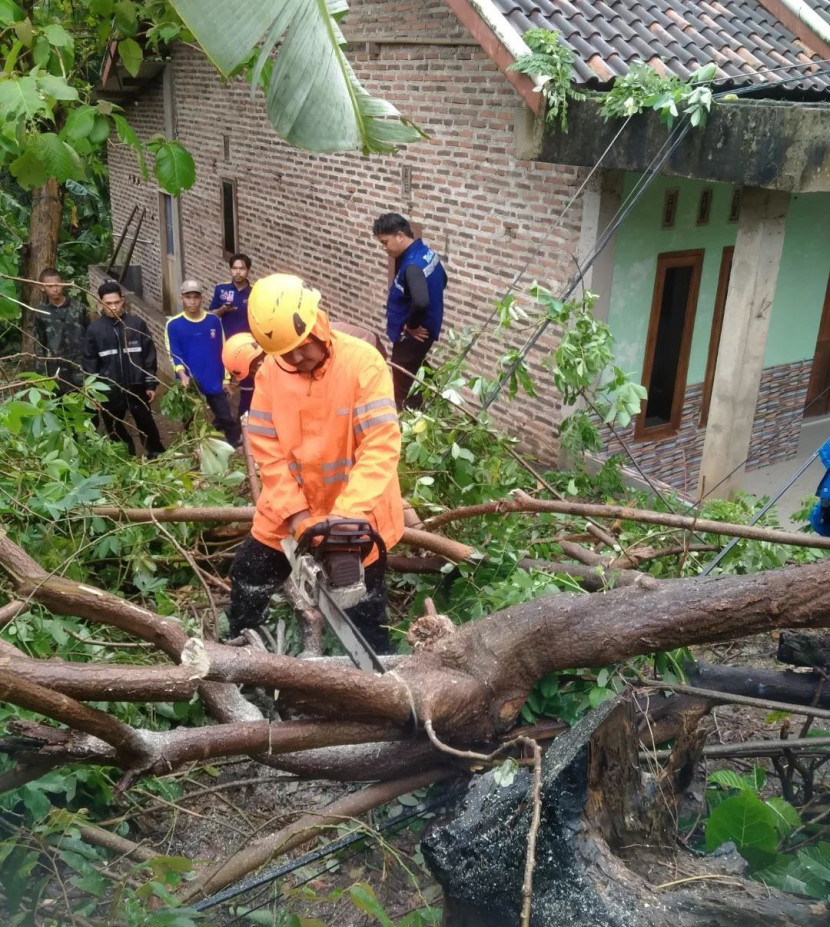 BPBD Cilegon sedang mengevakuasi pohon tumbang di Saksak Lurah, Kelurahan Kepuh, Kecamatan Ciwandan. Foto: Diskominfo Kota Cilegon