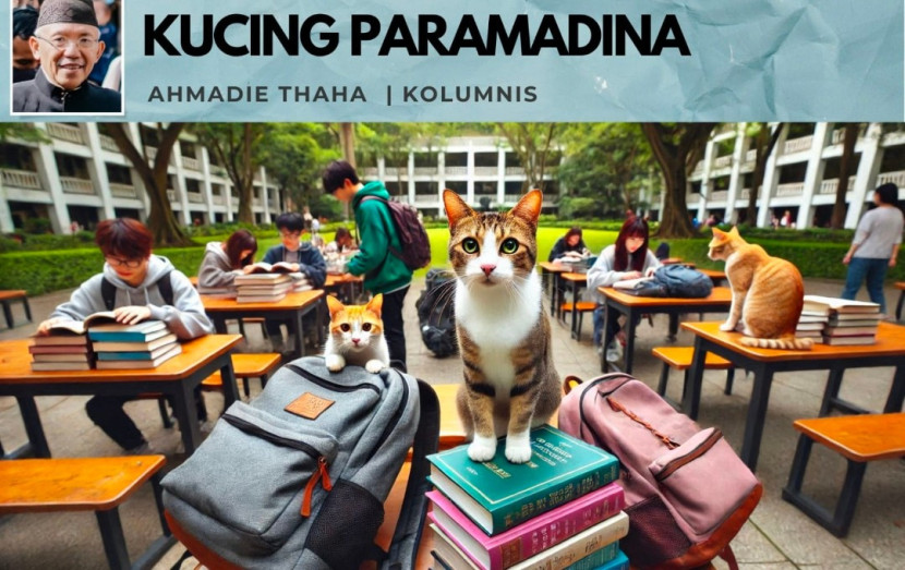 Foto ilustrasi Catatan Cak AT: Kucing Paramadina. (Foto: Dok RUZKA INDONESIA)