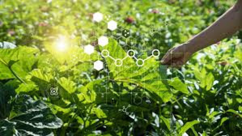 https://nano-magazine.com/news/2023/7/5/advancing-environmental-sustainability-through-green-nanotechnology