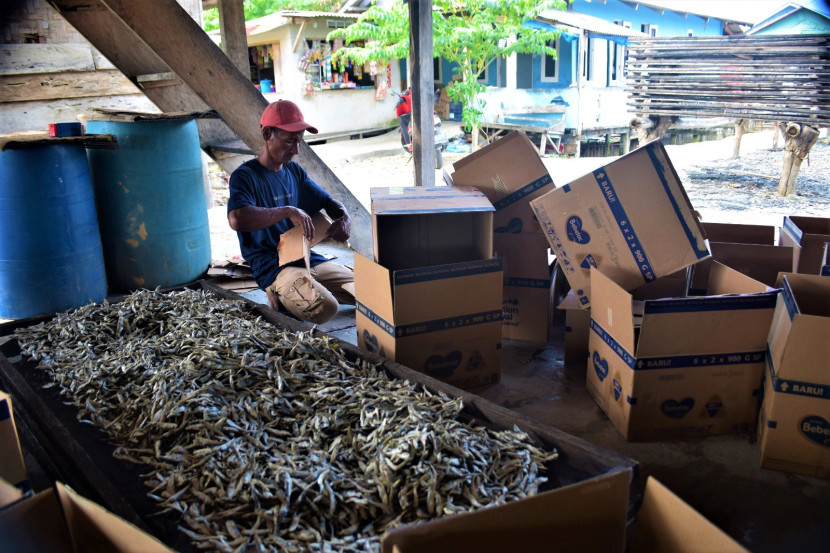 Ikan teri dan ikan asin produksi warga Pulau Pasaran, Bandar Lampung. (Foto: SumatraLink.id/Mursalin Yasland)