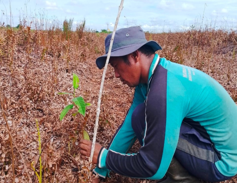 Peringati Hari Gerakan Sejuta Pohon Sedunia. (Foto: Dok RUZKA INDONESIA)