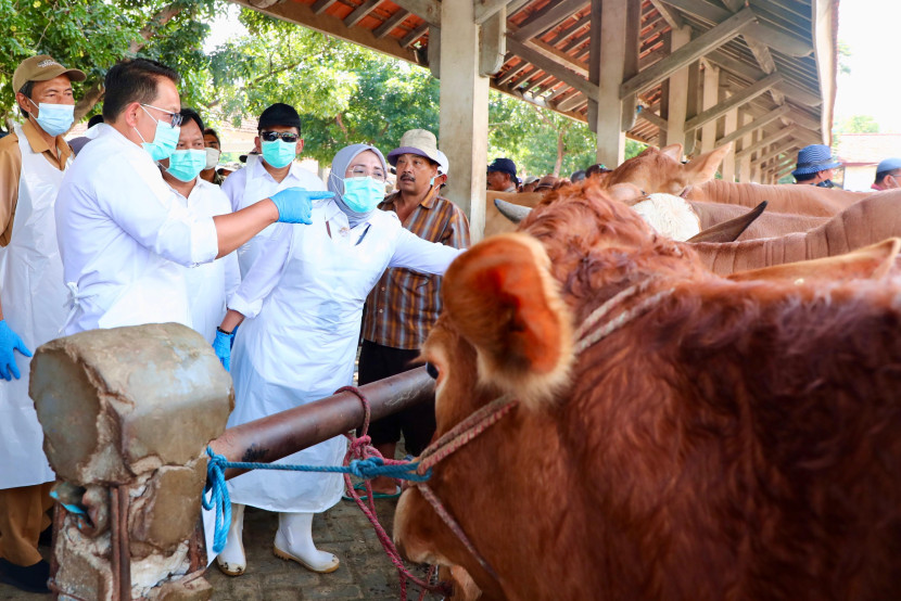 Pj Gubernur Jatim Adhy Karyono (kiri) mengecek vaksinasi sapi di pasar hewan Kota Probolinggo. Dok. Humas Pemprov Jatim