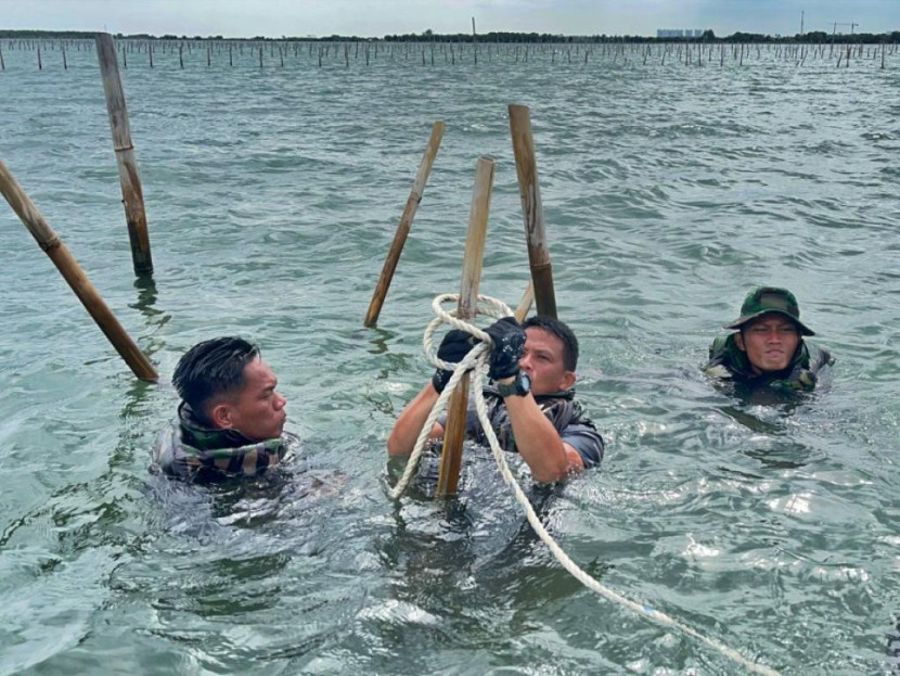 Prajurit TNI AL membongkar pagar laut ilegal di pesisir Kabupaten Tangerang, Banten, Ahad (26/1/2025). Sumber: Seputar Militer