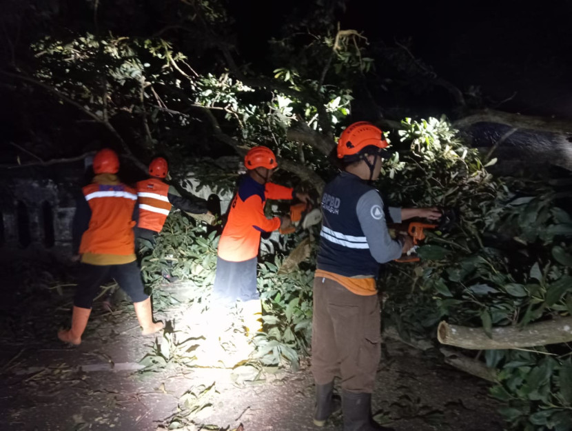 Upaya evakuasi pohon tumbang di Jalan Taman Bahagia Kota Sukabumi, Kamis (30/1/2025).