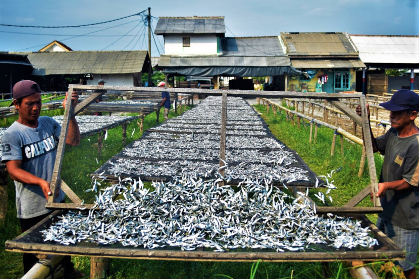 Usaha UMKM pengolahan ikan asin di Pulau Pasaran, Bandar Lampung. (Foto: SumatraLink.id/Mursalin Yasland)