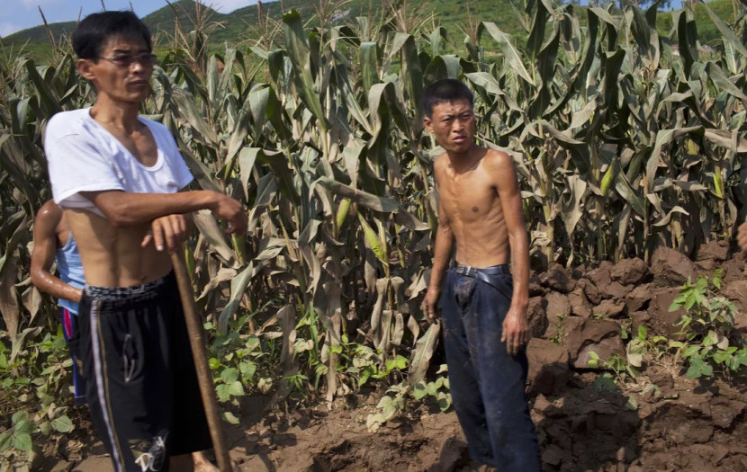 Warga bekerja di ladang yang rusak akibat banjir di Kabupaten Songchon, Korea Utara. Sumber:AP/David Guttenfelder