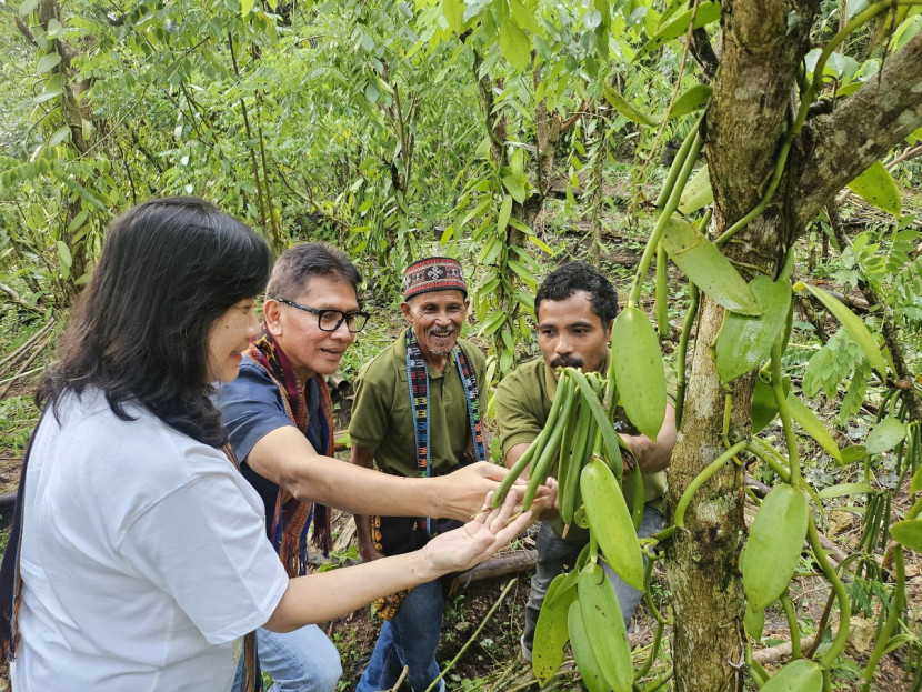 Ketua Pengurus Yayasan Dharma Bhakti Astra (YDBA), Rahmat Samulo didampingi Sekretaris Pengurus YDBA, Ema Poedjiwati Prasetio mengunjungi petani vanili di Desa Loha, Manggarai Barat, NTT. (Foto: YDBA)