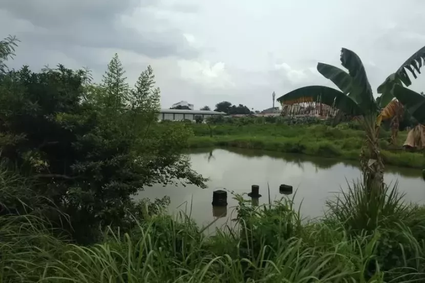 Penampakan lahan yang akan dibangun SMPN 35 Depok di Kelurahan Curug, Kecamatan Cimanggis, Kota Depok. (Foto: Dok Gelombang)