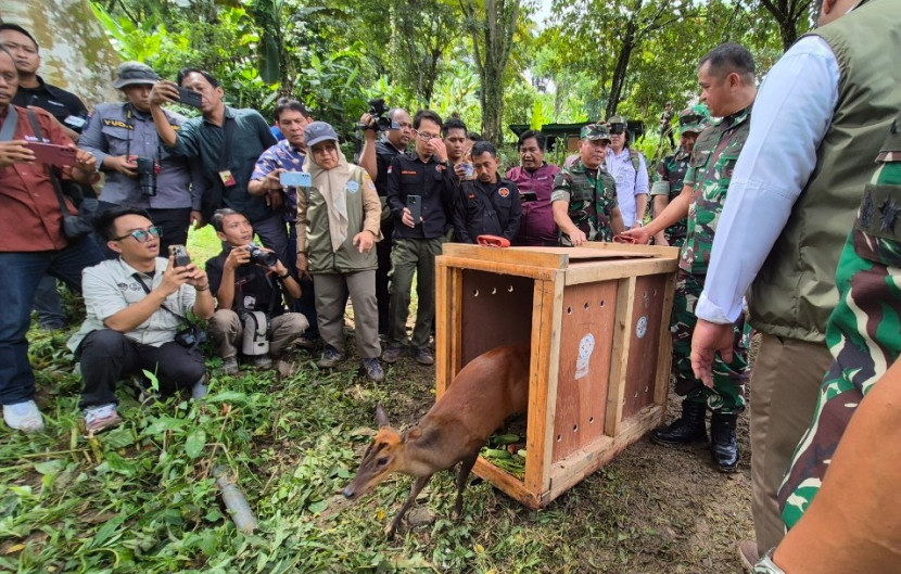 Kasad.Jenderal TNI Maruli Simanjuntak, memimpin kegiatan pelepasliaran satwa dilindungi sekaligus melepas Tim Ekspedisi Macan Tutul di kawasan Resimen Latihan Tempur (Menlatpur) Sanggabuana, Kabupaten Karawang, Jawa Barat (Jabra), Selasa (18/02/2025). (Foto: Dok RUZKA INDONESIA)