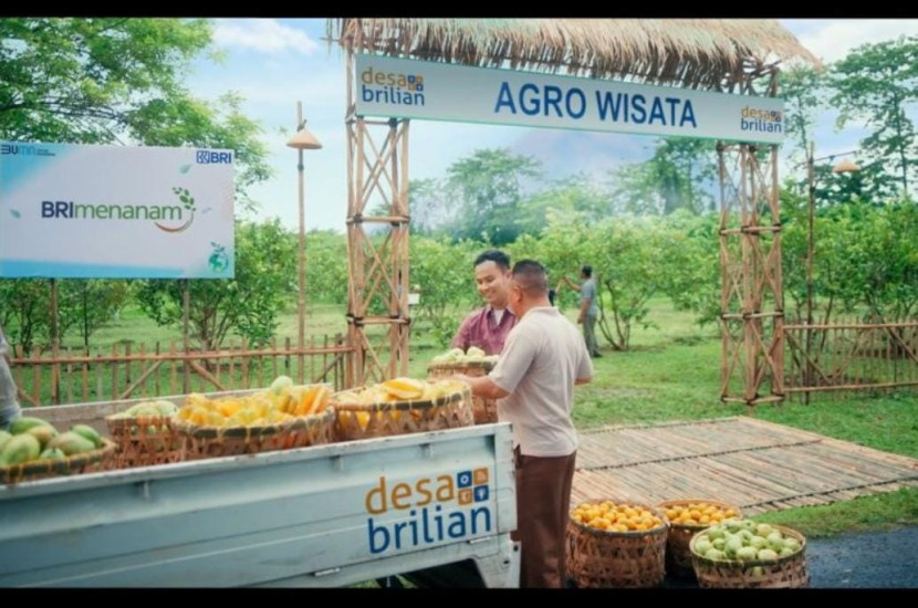 Salah satu peserta program Desa BRILiaN yang dibina oleh BRI. (Foto: Dok BRI) 