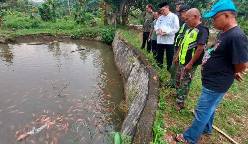 Poktan yang berfokus pada kegiatan pertanian dan budidaya ikan di Kelurahan Jatijajar, Kota Depok. (Foto: Dok RUZKA INDONESIA)