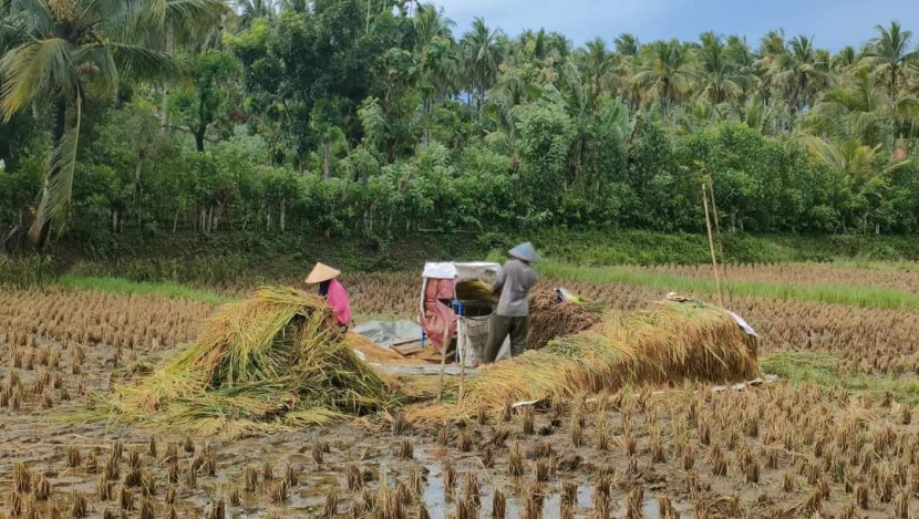 Dok. Sigit Iko Sugondo