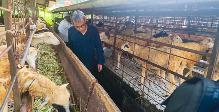 peternakan sederhana Mas Ihsan Bersaudara di Cikampek, Jawa Barat. (Foto: Dok BKPerdag)