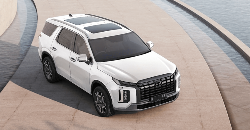 Dok. Hyundai Arista