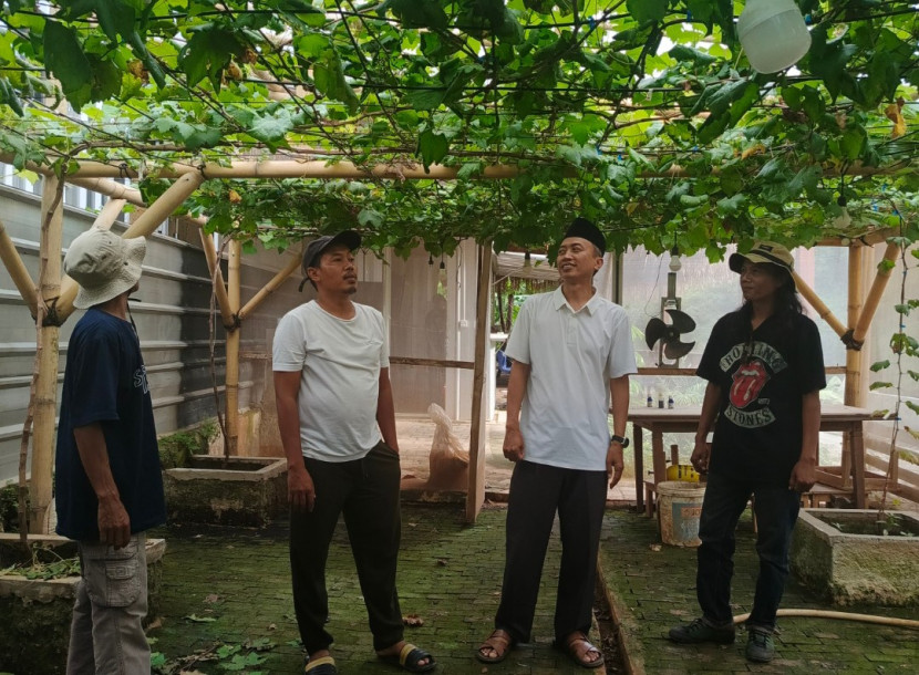 Budidaya tanaman anggur, Kobong Nursery dan Safara Grape Garden menjalin kerja sama strategis mencakup penyediaan bibit, edukasi, hingga pendampingan teknis untuk masyarakat yang ingin memiliki kebun anggur sendiri. (Foto: Dok RUZKA INDONESIA)