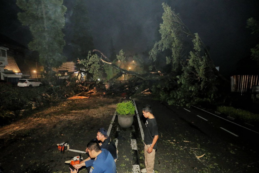 Pohon tumbang di Jalan Ir H Juanda, Kota Bandung, Ahad (18/5/2025) dini hari.