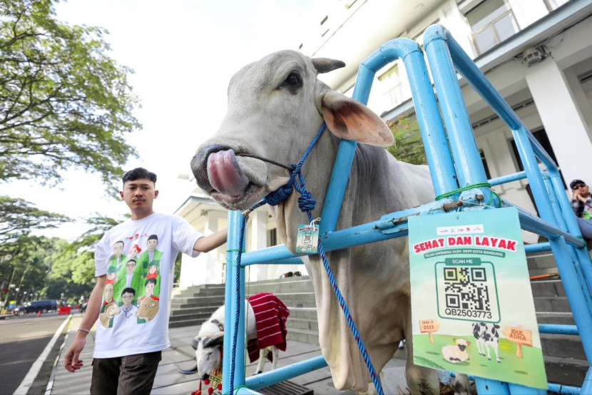 Satgas Pemeriksa Hewan Kurban di Balai Kota Bandung, Senin (19/5/2025). Foto: Humas Kota Bandung