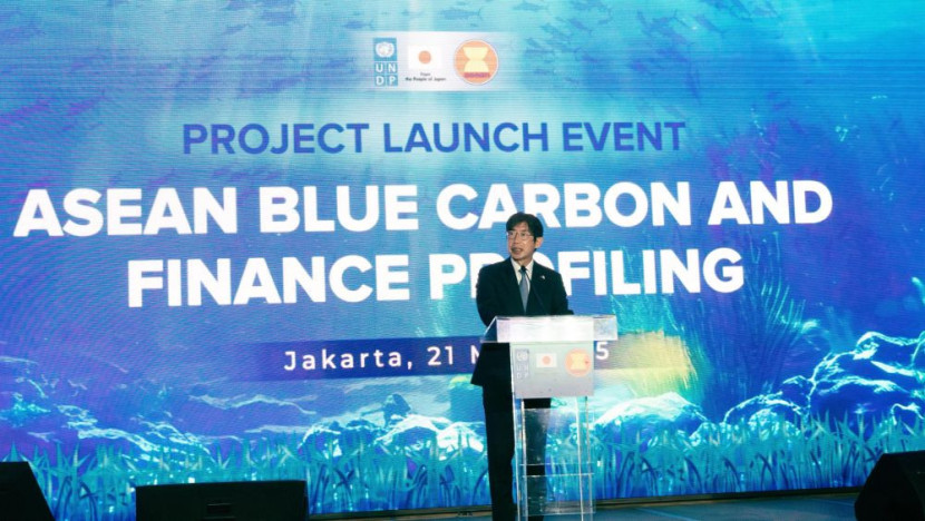 Ekonomi Biru menjadi bahan kajian dalam Asean Blue Carbon and Finance Profiling Sumber:UNDP