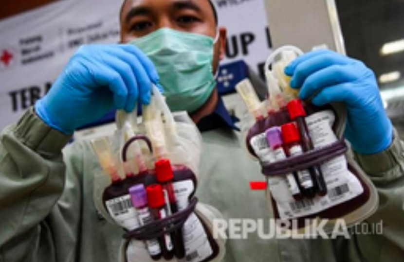 Jaga stok darah, PMI Kota Depok ajak warga rutin donor darah. (Foto: Dok REPUBLIKA)