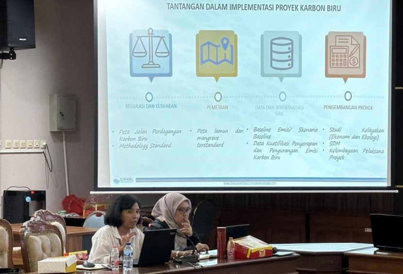 Lokakarya hasil studi karbon biru. (YKAN)