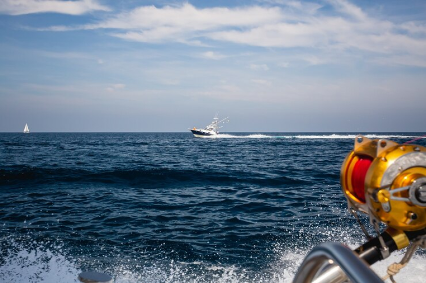 Teknologi pemindaian di laut penting. Sumber:Freepik