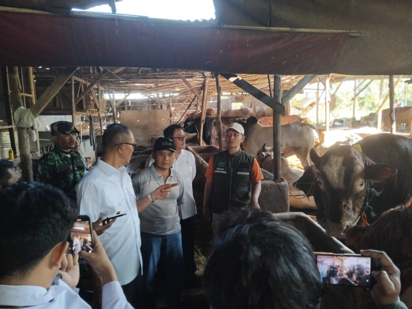 Pemantauan hewan kurban dipimpin langsung Wali Kota Sukabumi di salah satu lapak hewan kurban, Rabu (28/5/2025).