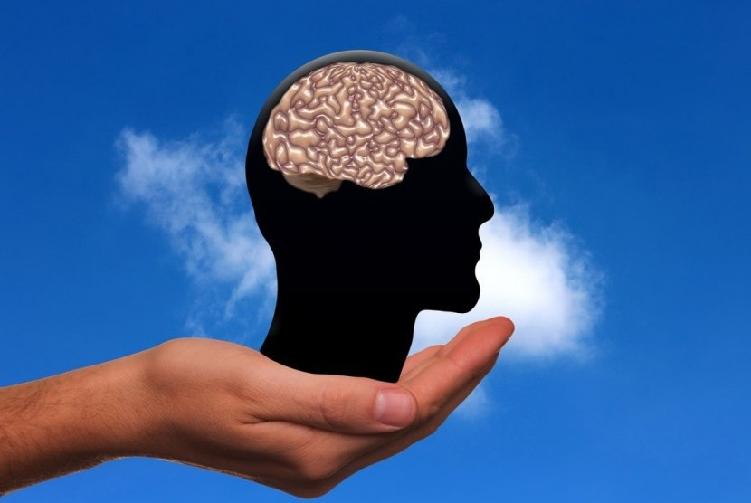 Ilustrasi, otak. (Pixabay)