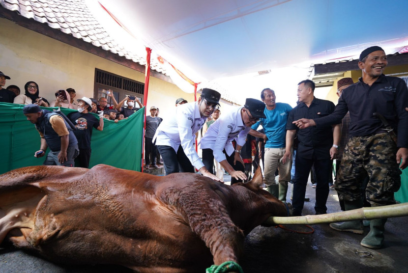 Pemotongan hewan kurban bantuan dari Presiden Prabowo Subianto di Kota Sukabumi, Sabtu (7/6/2025).