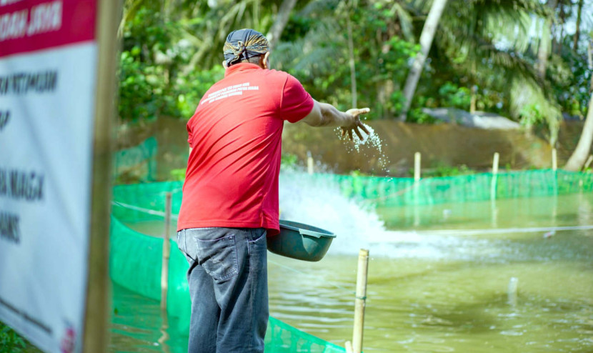 Program Bu Petra (Budidaya Perikanan Terintegrasi) di Desa Sidamukti memanfaatkan energi panel surya untuk kincir air dan mengolah sampah plastik menjadi bahan bakar mesin pencetak pelet ikan. (Foto: Dok RUZKA INDONESIA)