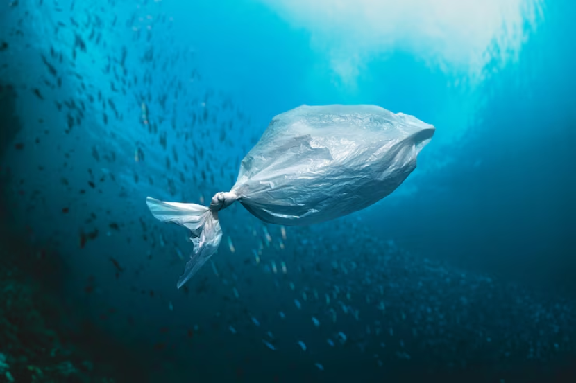 Sampah di samudera berpotensi jadi penghalang industri pelayaran. Sumber: Freepik