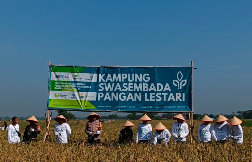 Pertanian rendah karbon dan ramah lingkungan melalui program Kampung Swasembada Pangan Lestari - The Gade Integrated Farming. (Foto: Dok RUZKA INDONESIA)