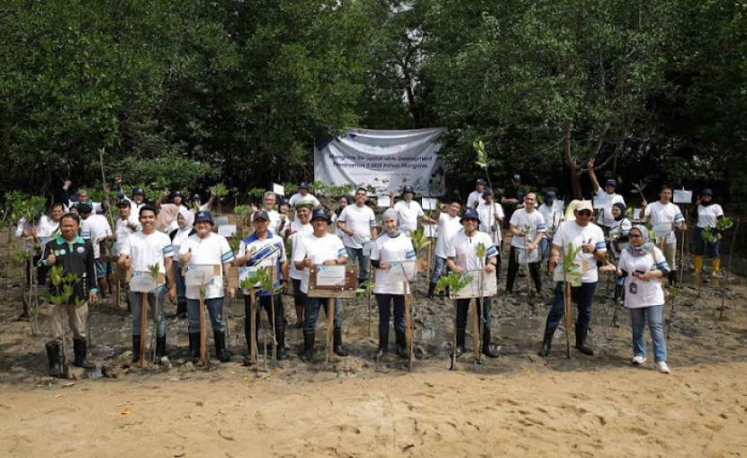 Bibit pohon Mangrove yang ditanam kali ini merupakan hasil donasi pelanggan dok Garda Oto