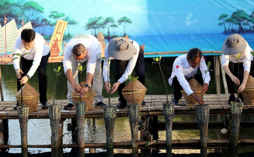 Para tamu undangan juga turut melakukan penanaman kembali hutan mangrove dalam rangkaian acara