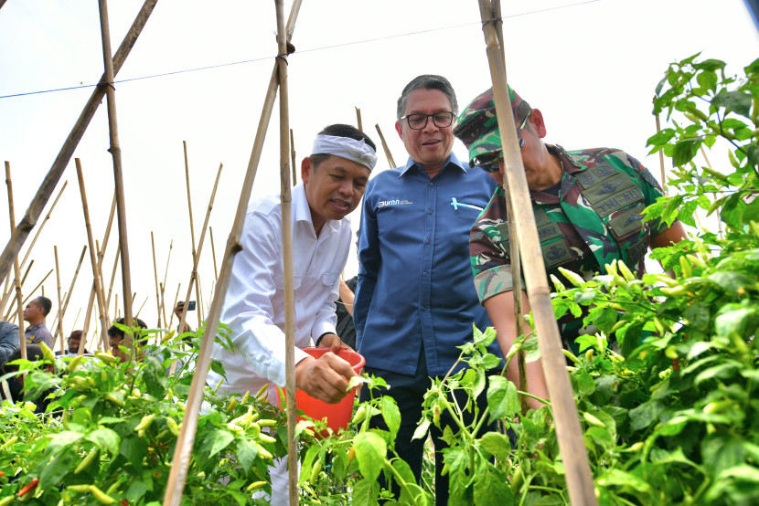 Panen raya hasil pertanian sistem Agroforestri di Gunung Hejo, Purwakarta. Foto Humas Jabar