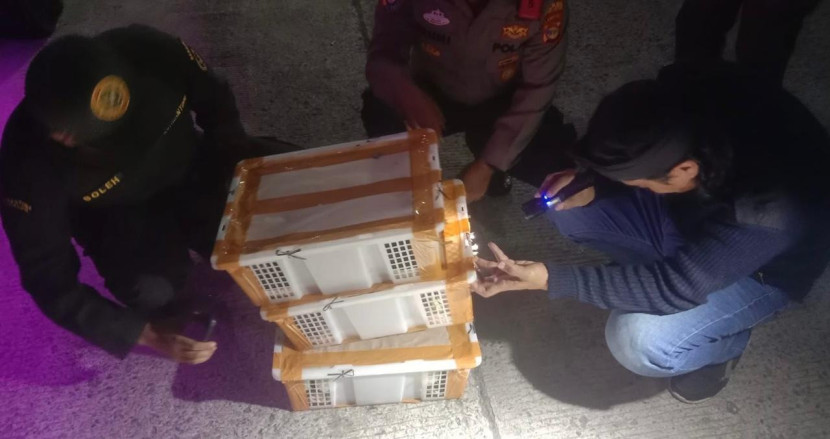 Petugas gabungan periksa burung-burung liar tanpa dokumen resmi. (Foto: Dok. BKP Lampung)