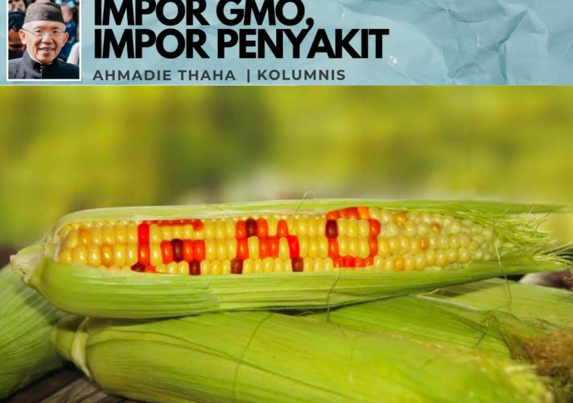 Foto ilustrasi Catatan Cak AT: Impor GMO, Impor Penyakit. (Foto: Dok RUZKA INDONESIA)