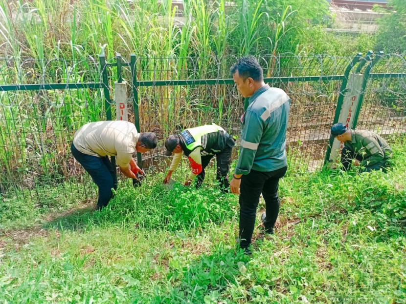 Petugas KCIC segera melakukan pemeriksaan dan menemukan bahwa hewan yang tertabrak Whoosh adalah seekor biawak. (Foto: Corporate Communication KCIC)