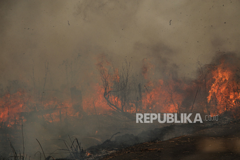Ilustrasi, kebakaran hutan dan lahan.