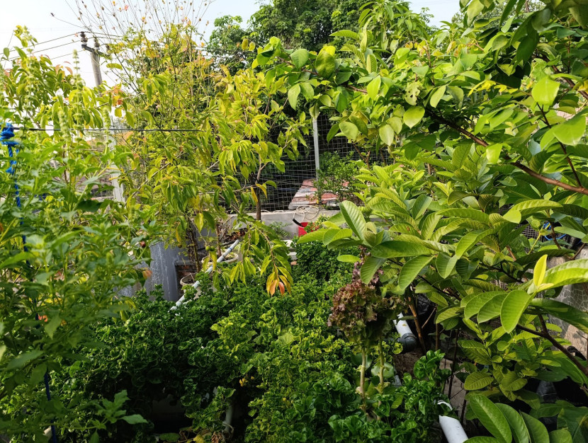 rooftop garden / FIFARM